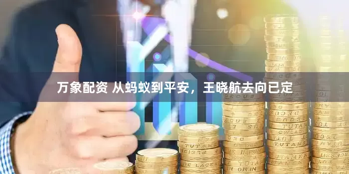 万象配资 从蚂蚁到平安，王晓航去向已定