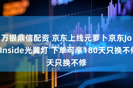 万银鼎信配资 京东上线元萝卜京东JoyInside光翼灯 下单可享180天只换不修