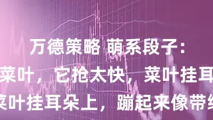 万德策略 萌系段子：给兔子喂菜叶，它抢太快，菜叶挂耳朵上，蹦起来像带绿坠子