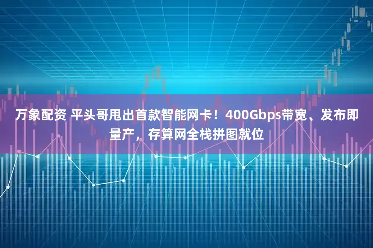 万象配资 平头哥甩出首款智能网卡！400Gbps带宽、发布即量产，存算网全栈拼图就位