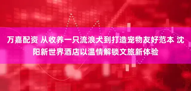 万嘉配资 从收养一只流浪犬到打造宠物友好范本 沈阳新世界酒店以温情解锁文旅新体验