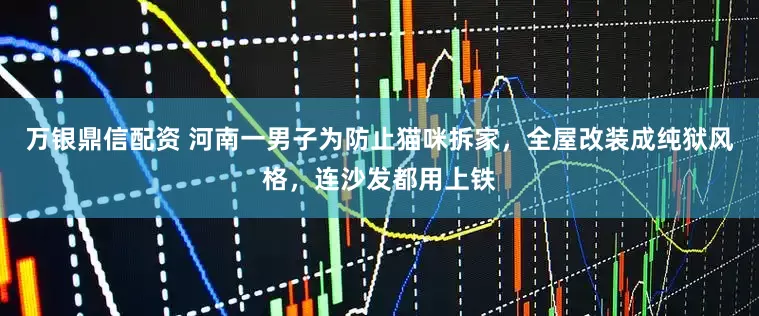 万银鼎信配资 河南一男子为防止猫咪拆家，全屋改装成纯狱风格，连沙发都用上铁