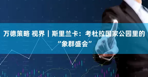 万德策略 视界｜斯里兰卡：考杜拉国家公园里的“象群盛会”